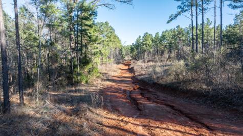 Tbd State Highway 64 Ben Wheeler TX 75754