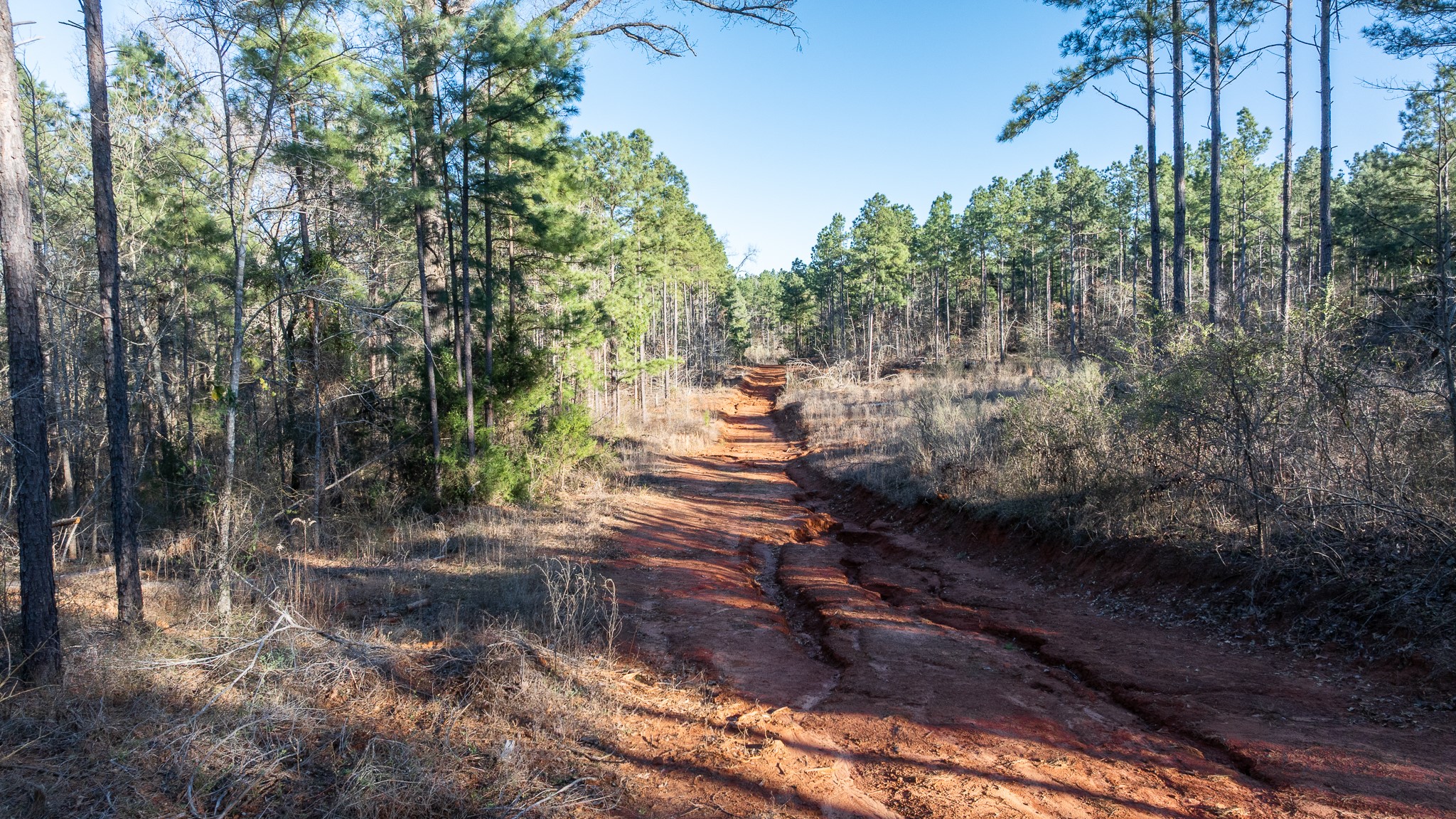 Tbd State Highway 64 Ben Wheeler TX 75754