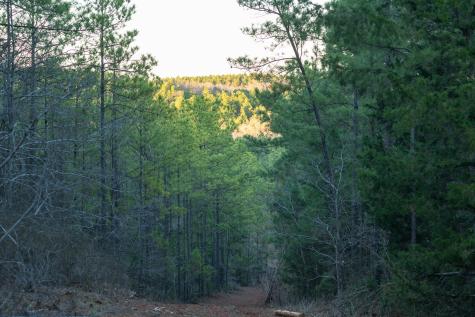 Tbd State Highway 64 Ben Wheeler TX 75754