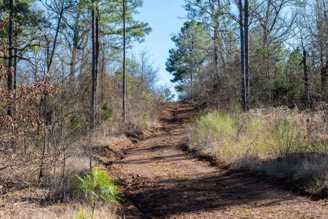 Tbd State Highway 64 Ben Wheeler TX 75754