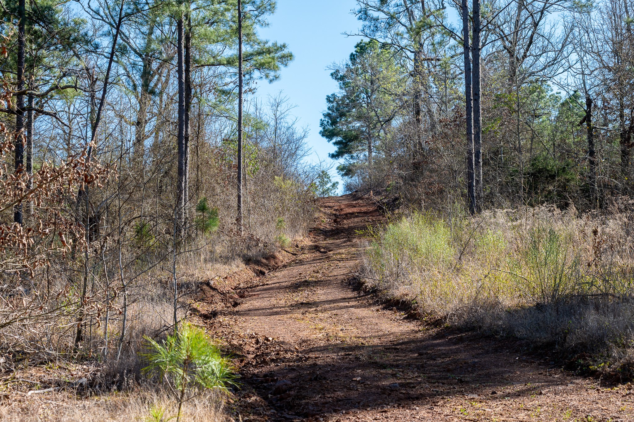 Tbd State Highway 64 Ben Wheeler TX 75754