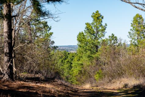 Tbd State Highway 64 Ben Wheeler TX 75754