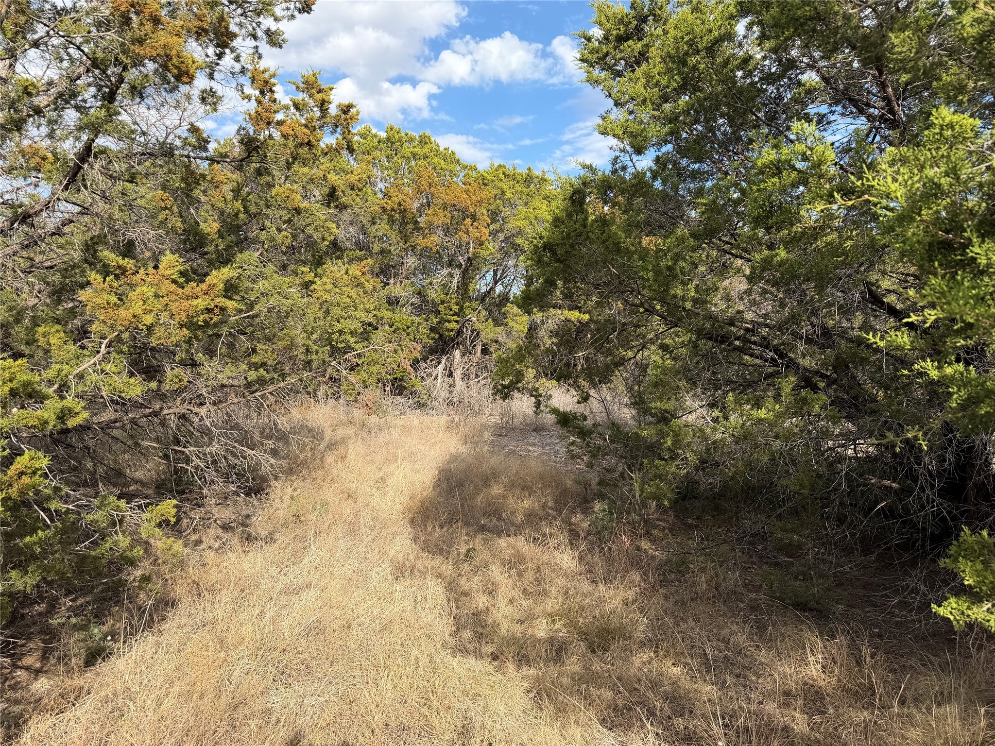 1070 Enchanted Rock Court Graford TX 76449