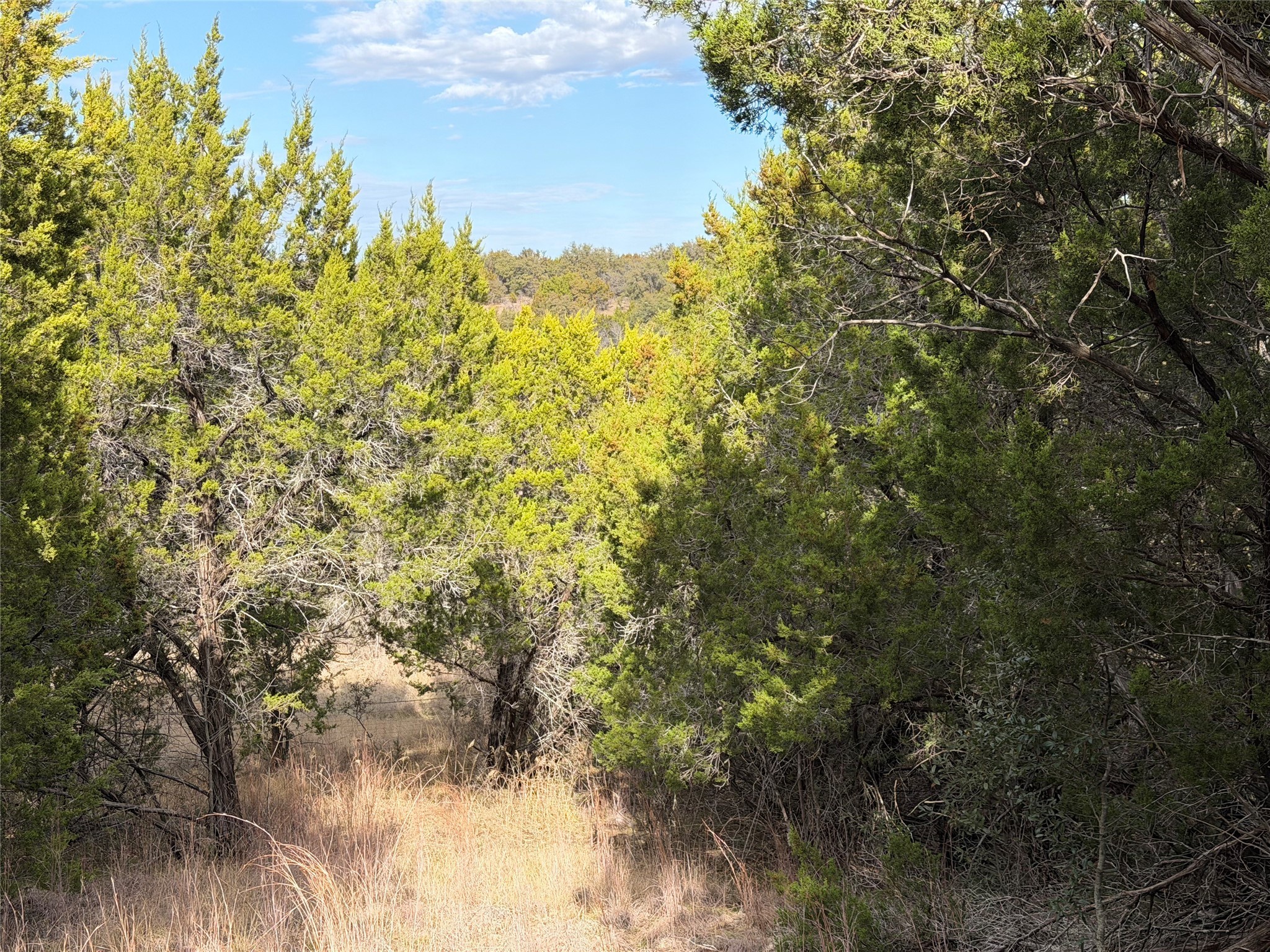 1070 Enchanted Rock Court Graford TX 76449