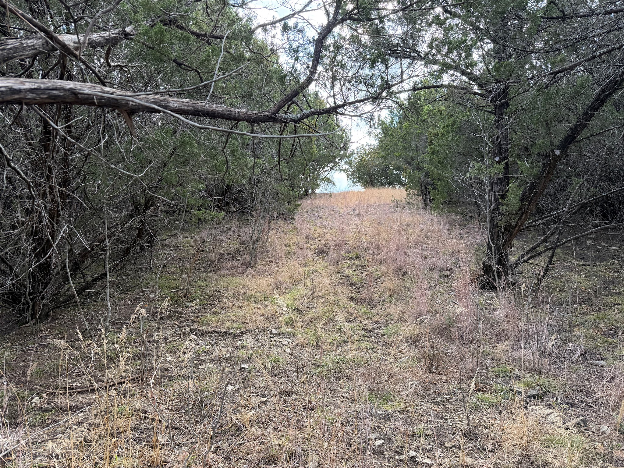 1070 Enchanted Rock Court Graford TX 76449