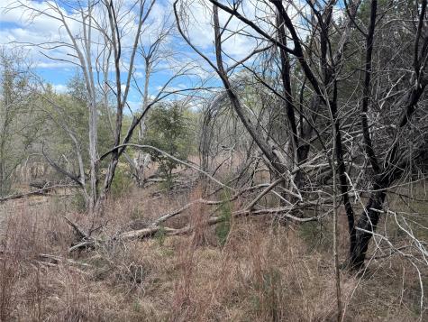 1070 Enchanted Rock Court Graford TX 76449