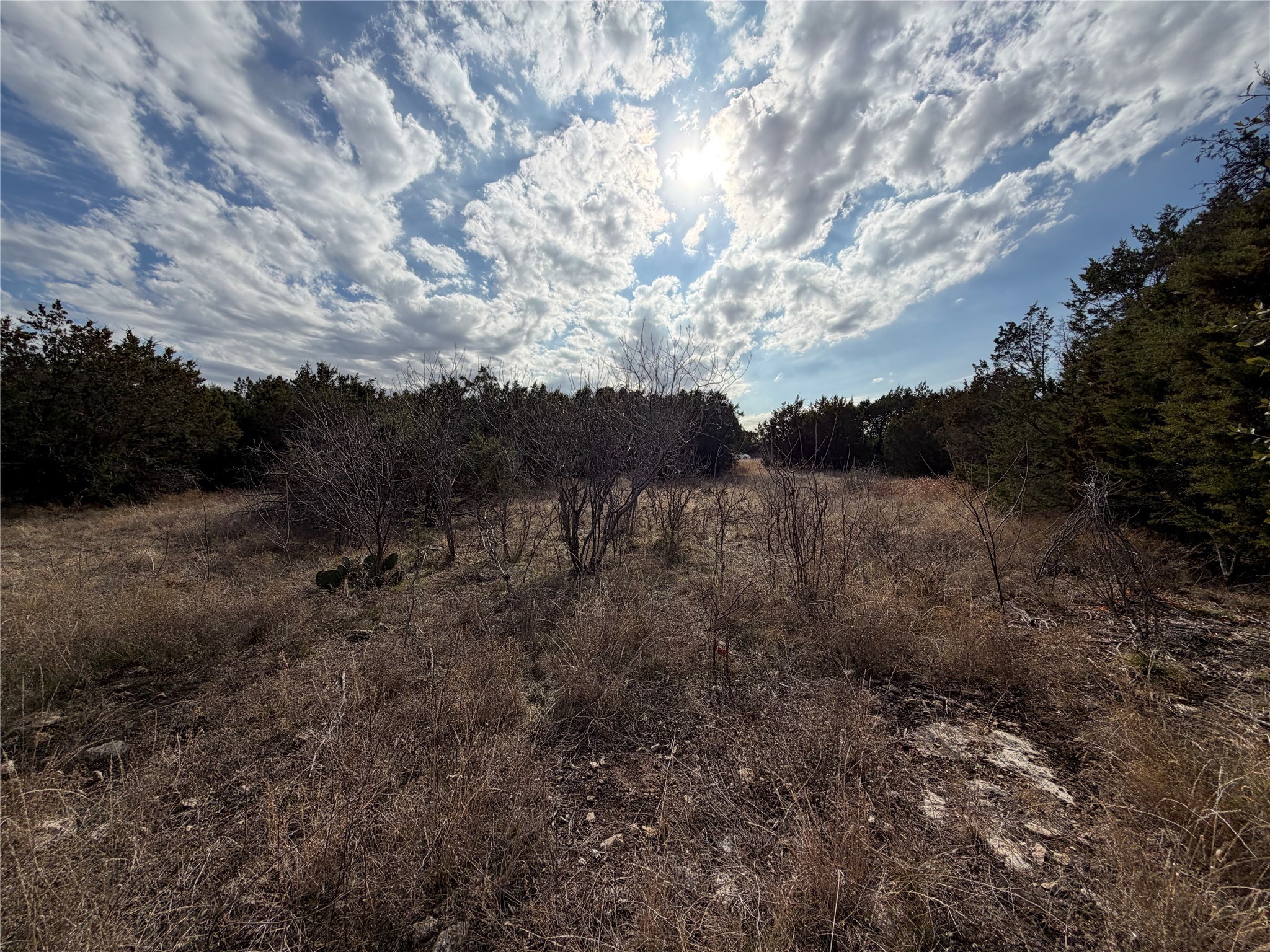 1070 Enchanted Rock Court Graford TX 76449