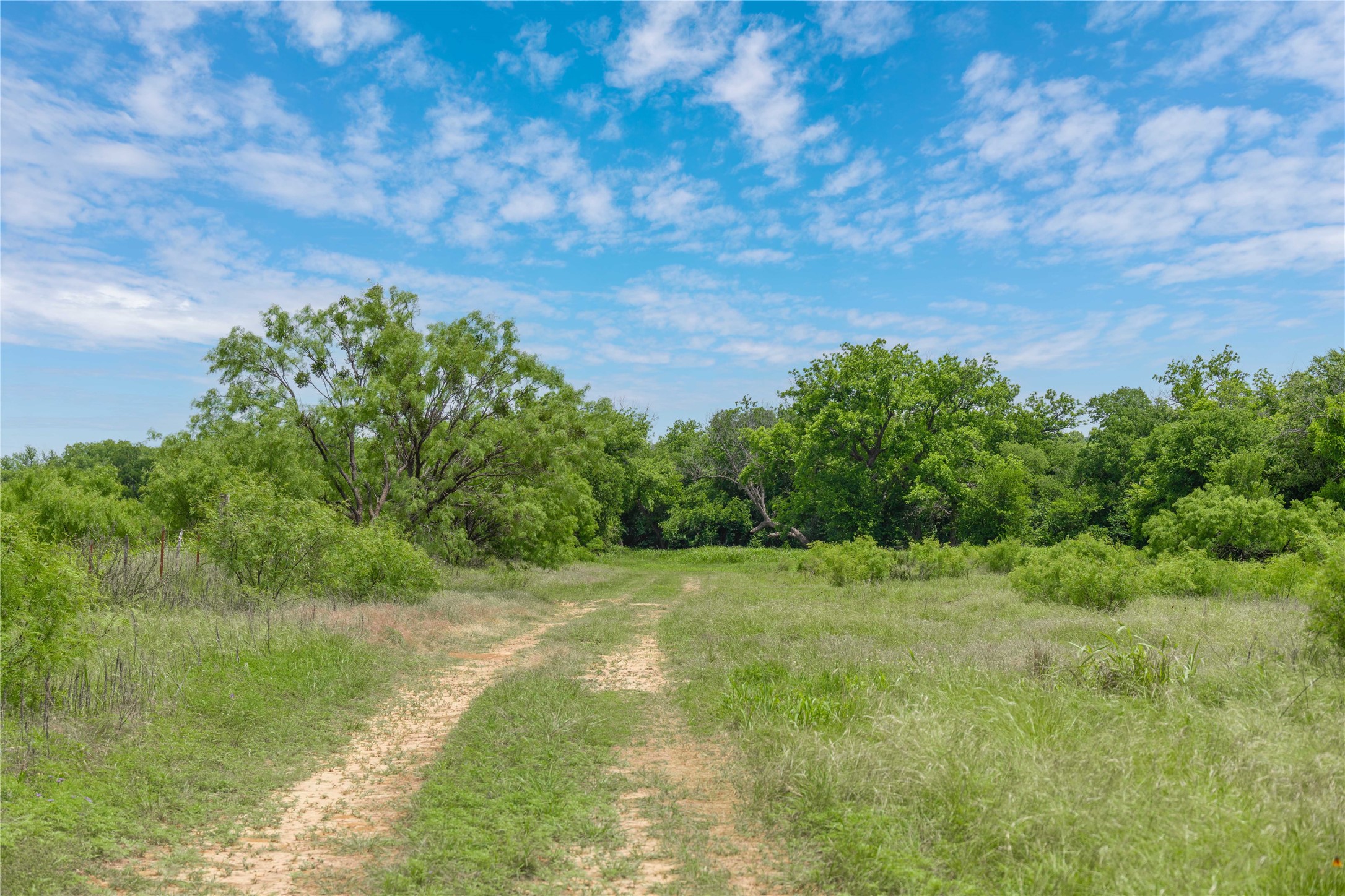 4960 Fm 1480 San Saba TX 76877
