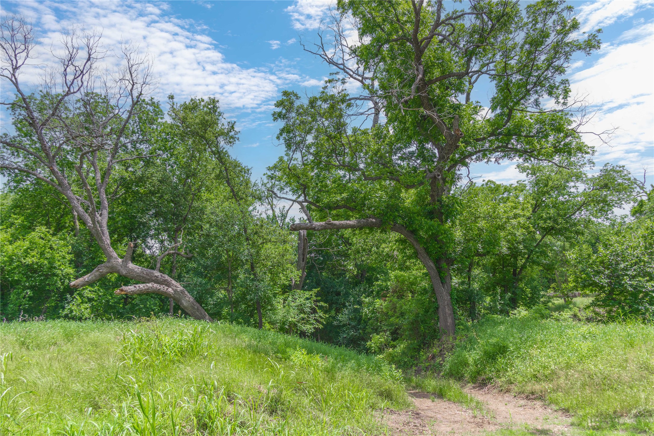 4960 Fm 1480 San Saba TX 76877