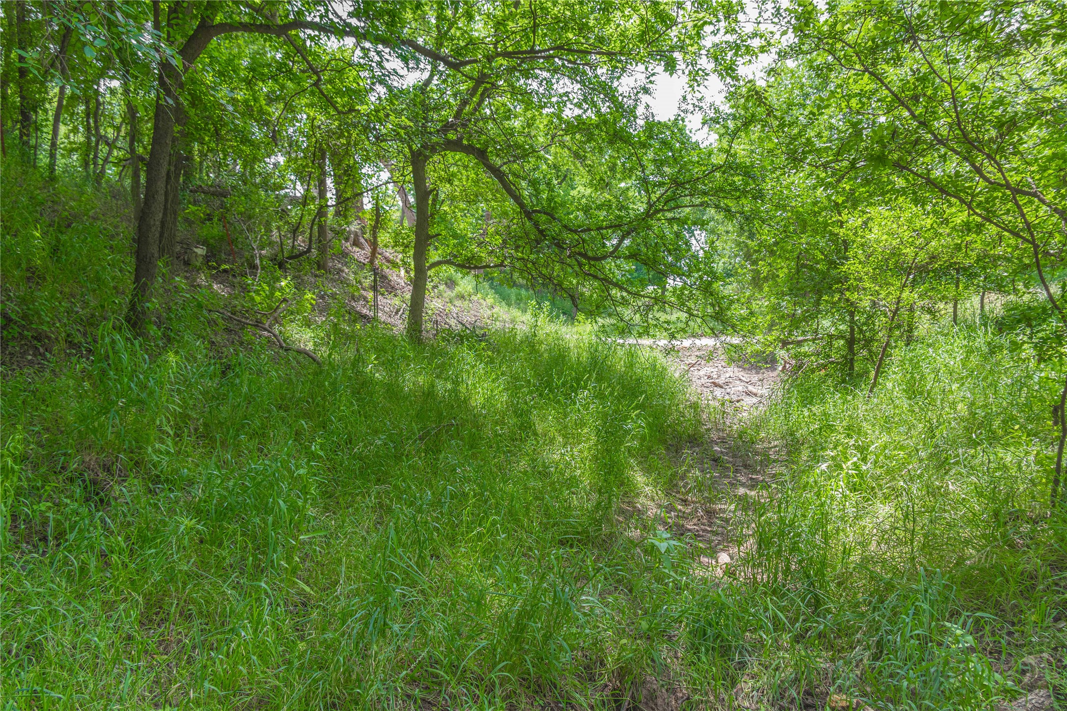 4960 Fm 1480 San Saba TX 76877