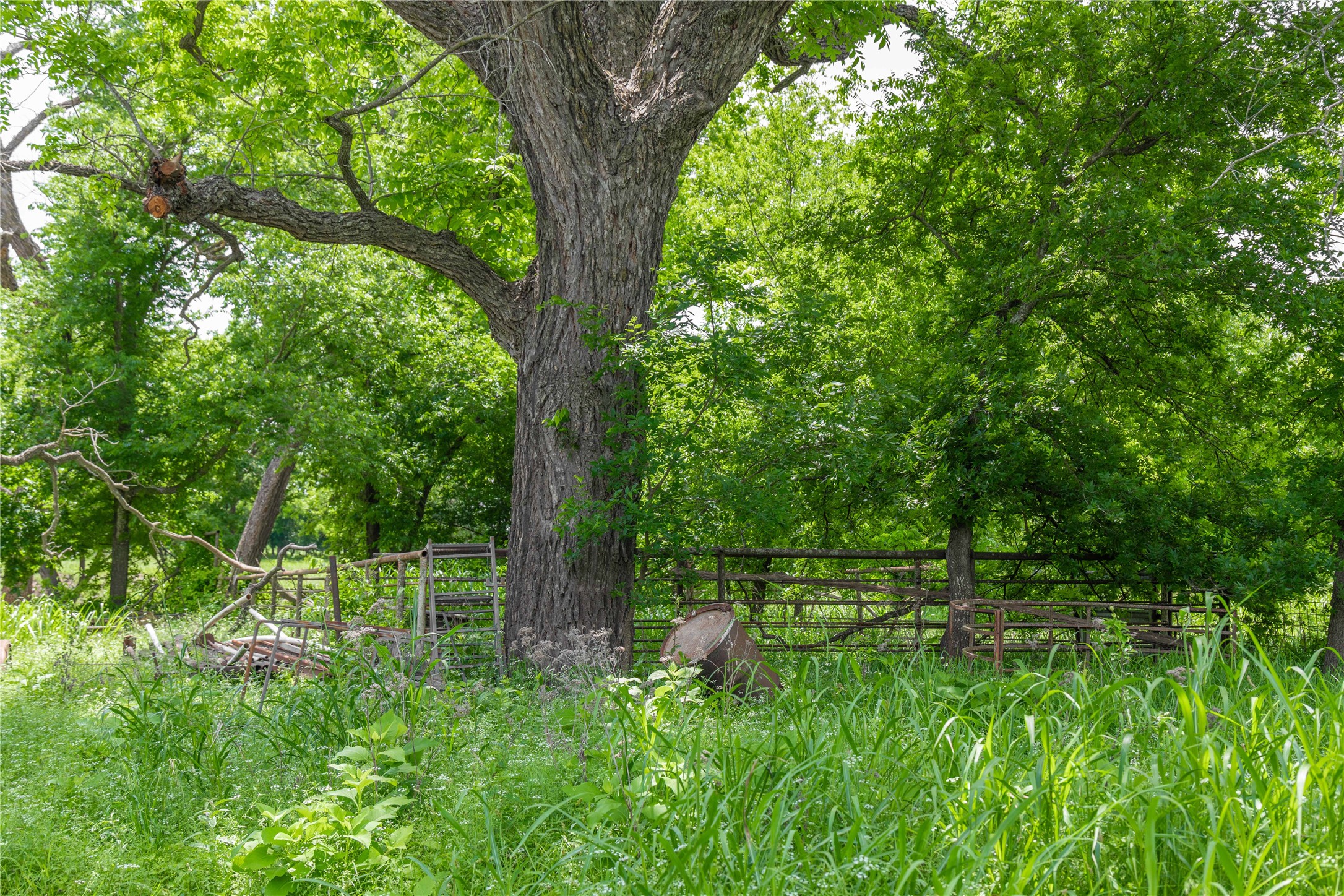 4960 Fm 1480 San Saba TX 76877