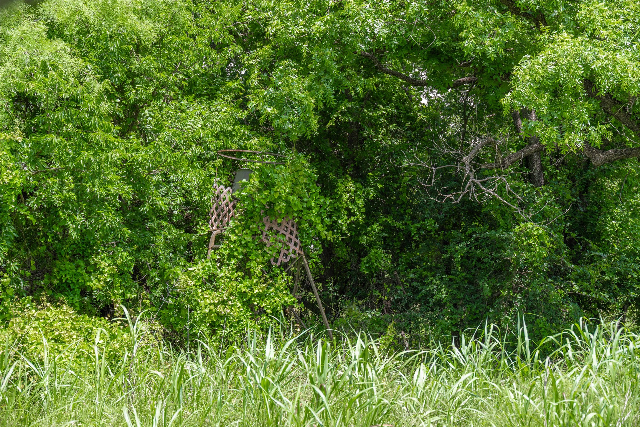 4960 Fm 1480 San Saba TX 76877