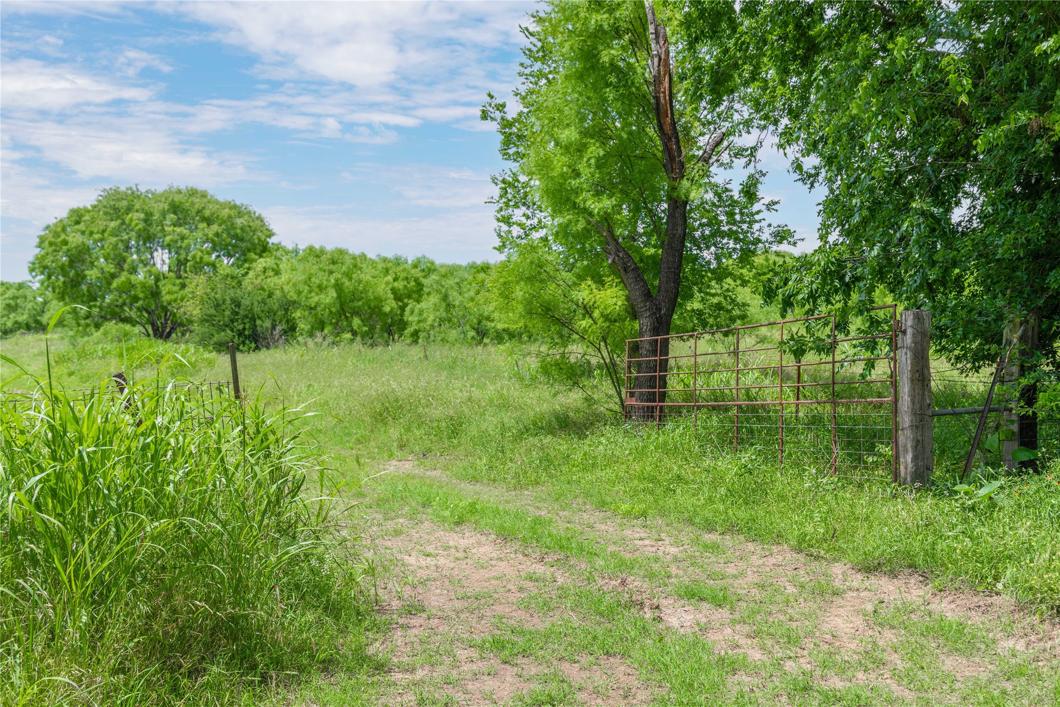 4960 Fm 1480 San Saba TX 76877