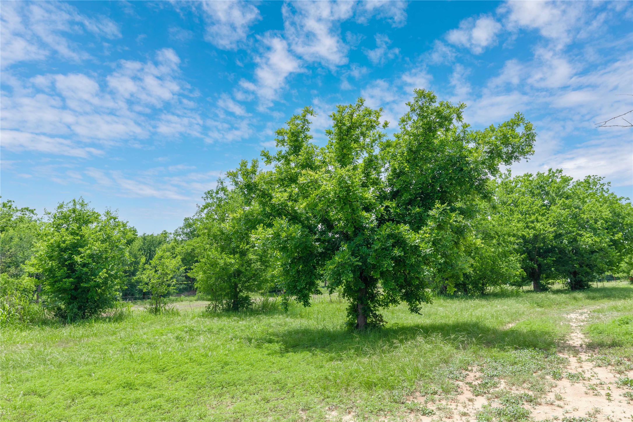4960 Fm 1480 San Saba TX 76877