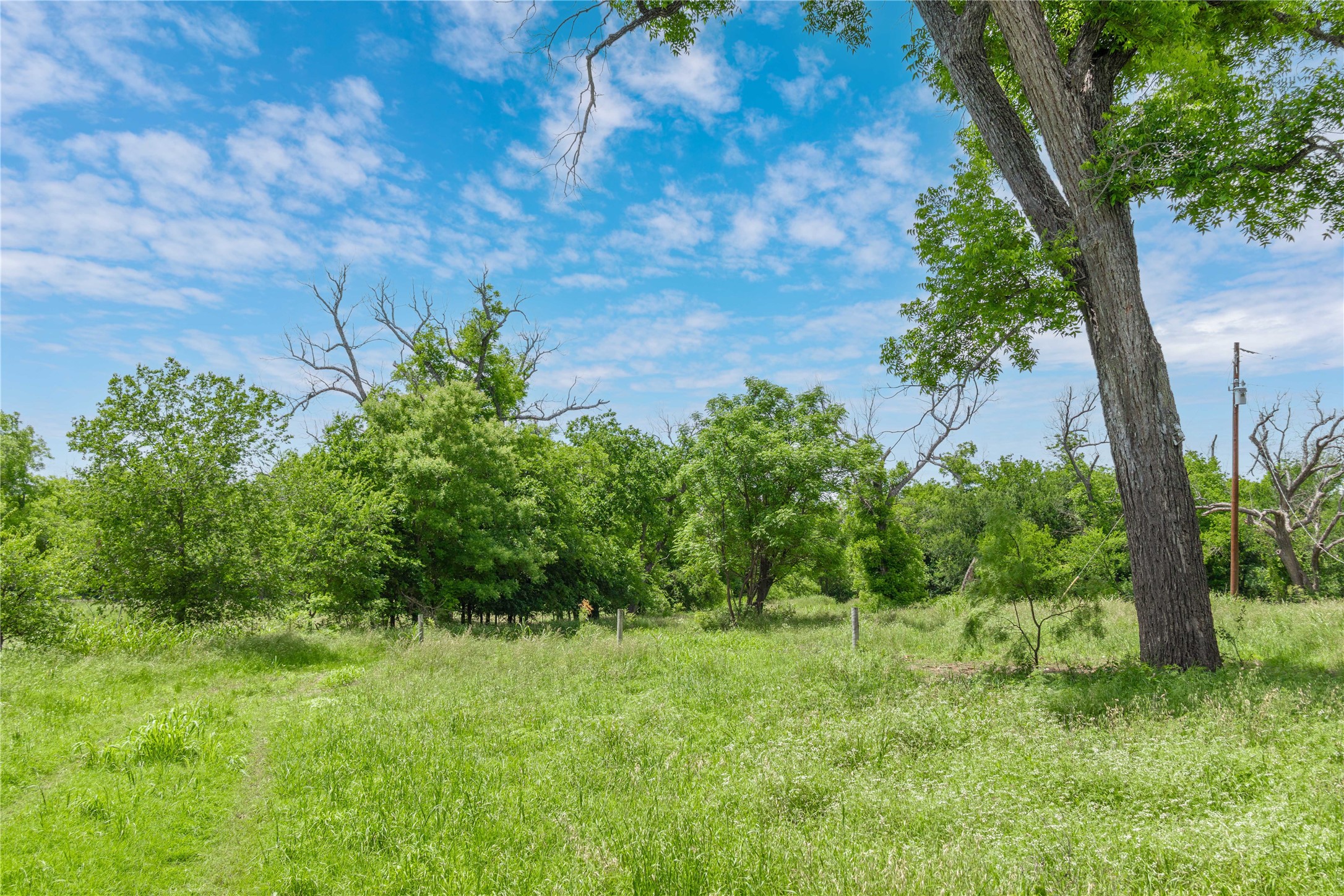4960 Fm 1480 San Saba TX 76877