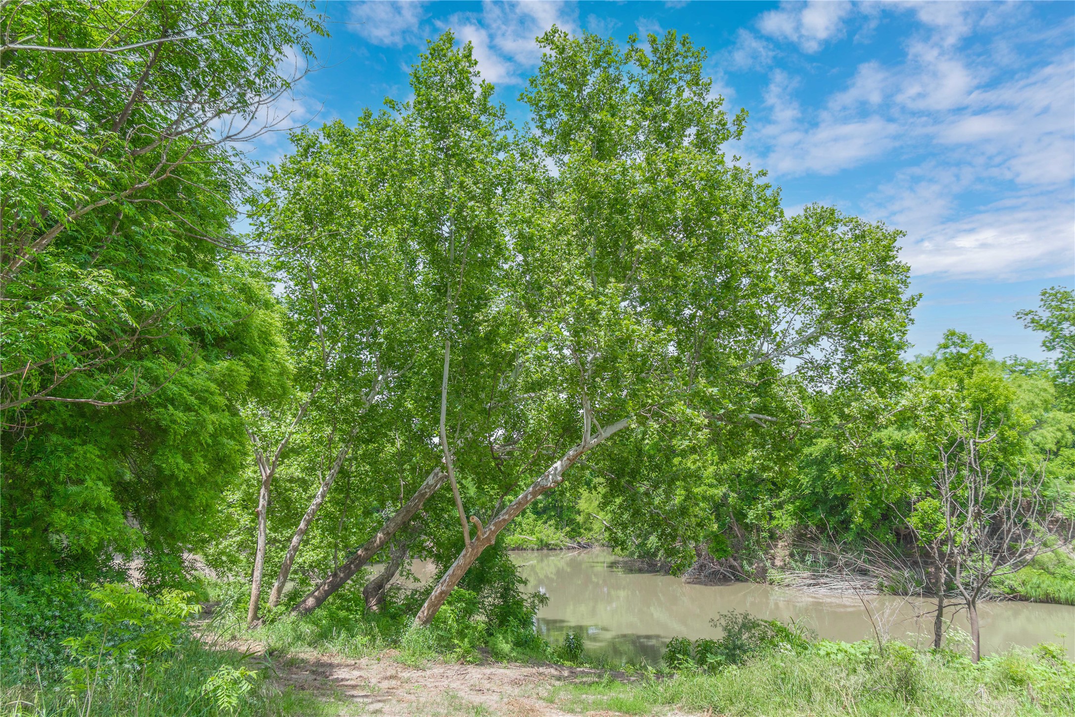 4960 Fm 1480 San Saba TX 76877