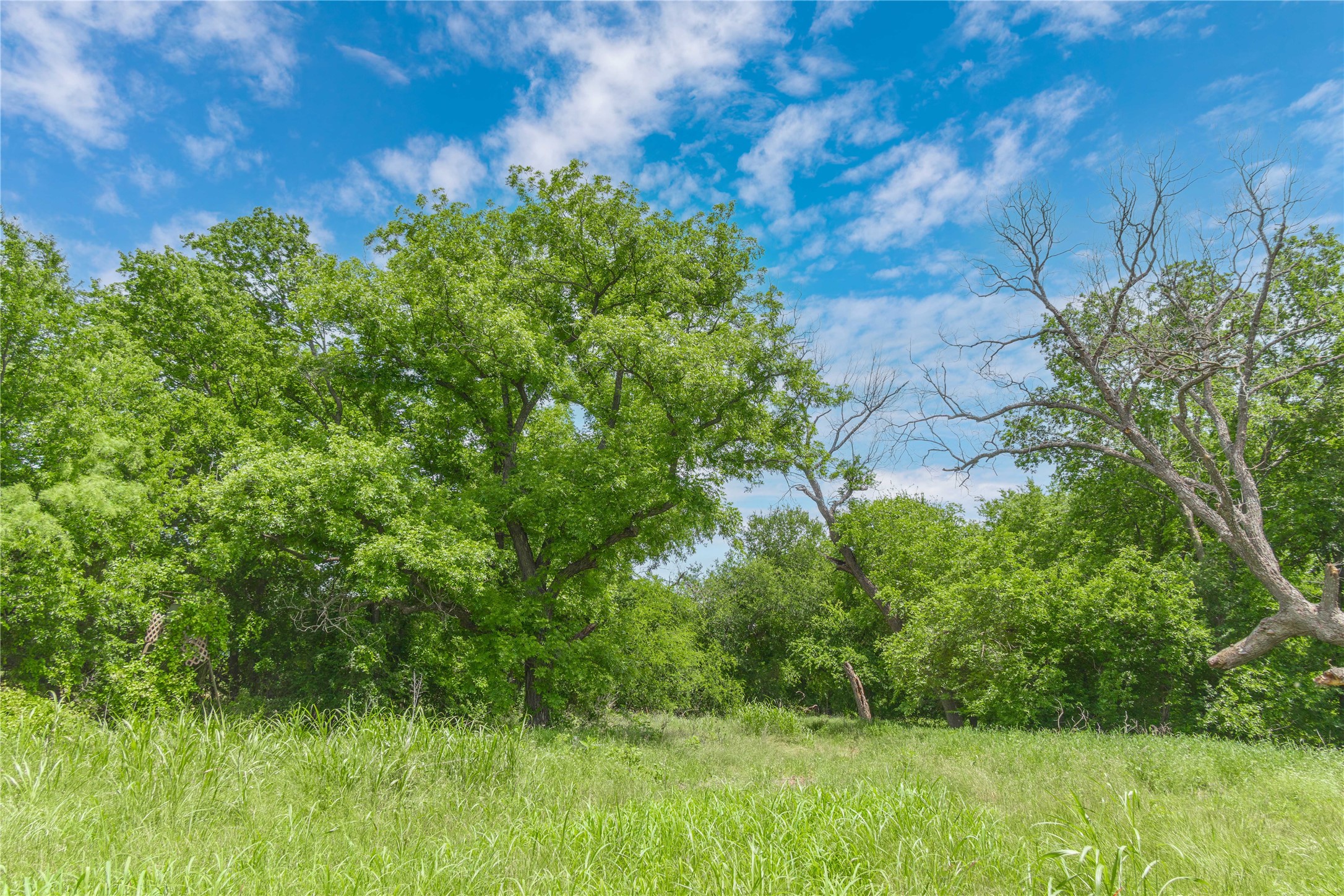 4960 Fm 1480 San Saba TX 76877