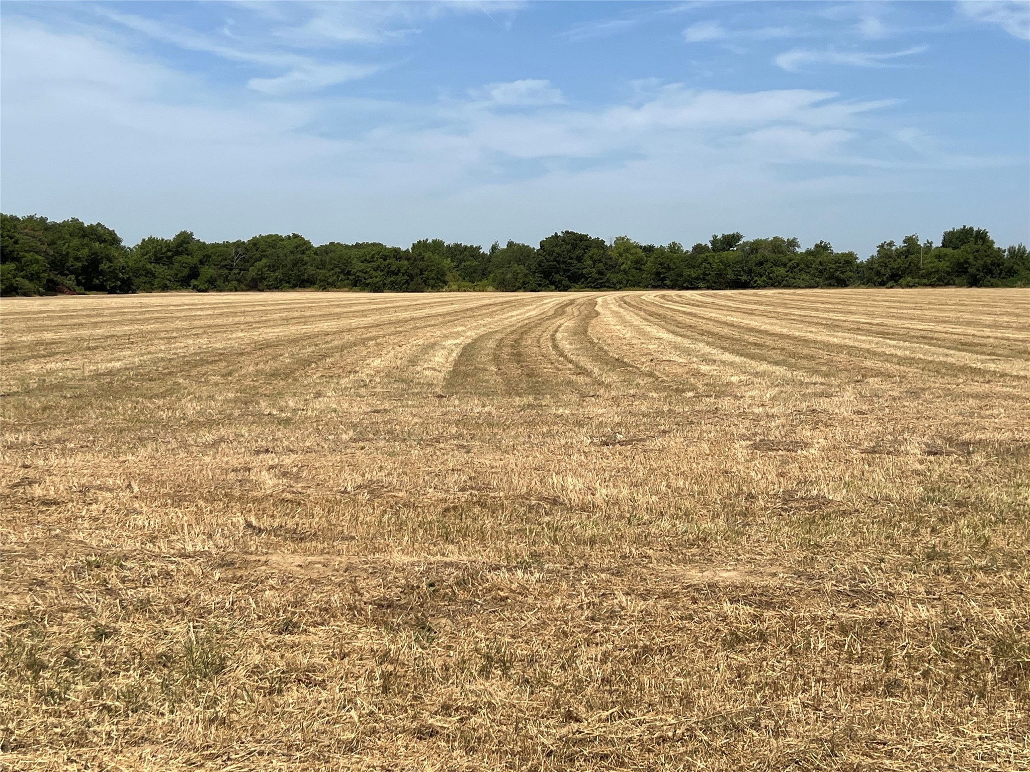 Lot 5 Rodgers Road Sadler TX 76264