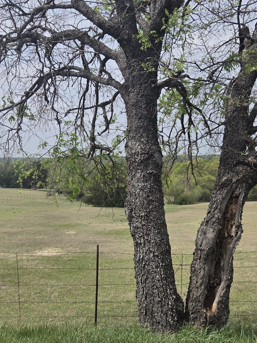 Tbd Snap Road Sherman TX 75090