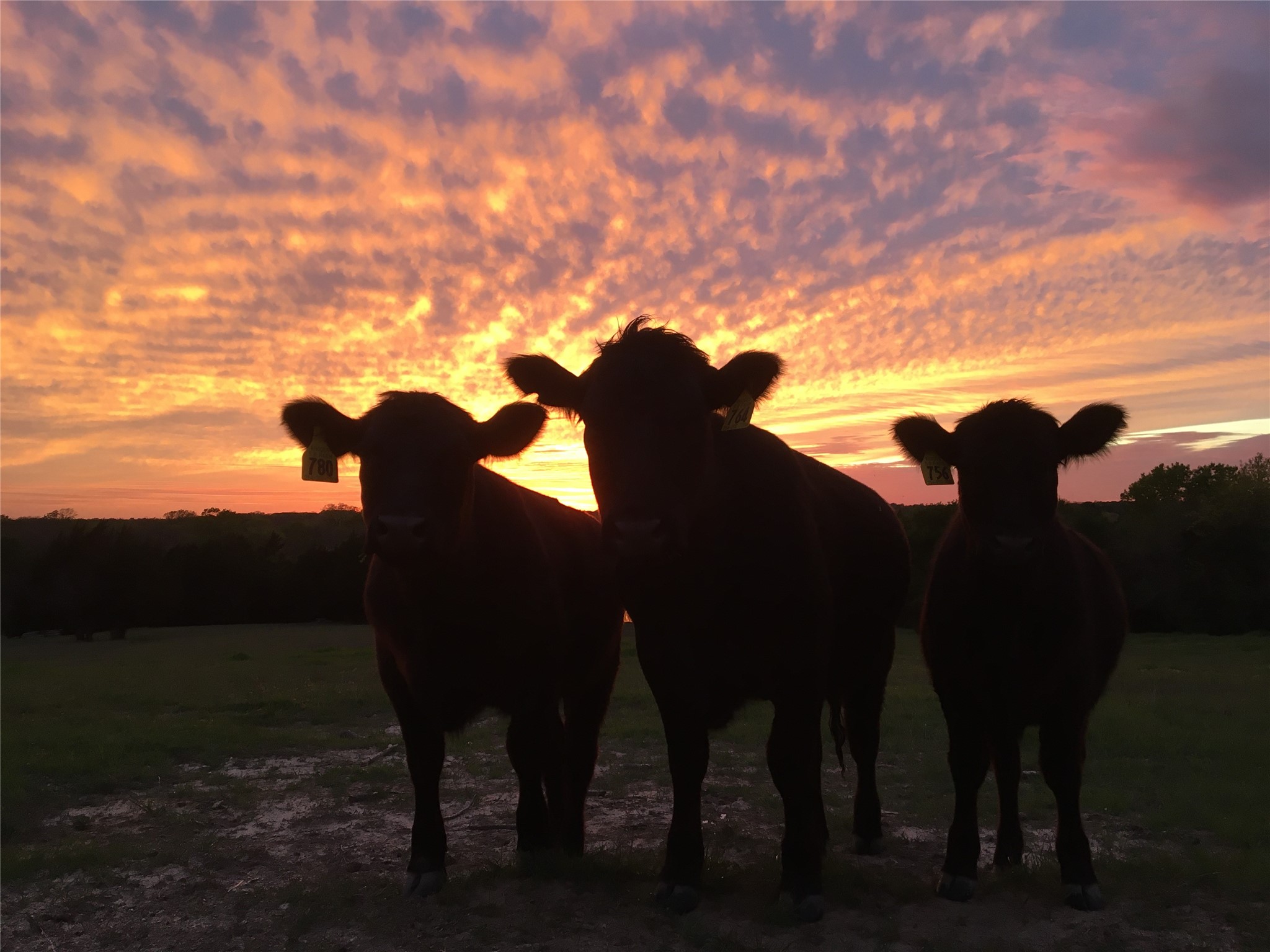 Tbd Snap Road Sherman TX 75090