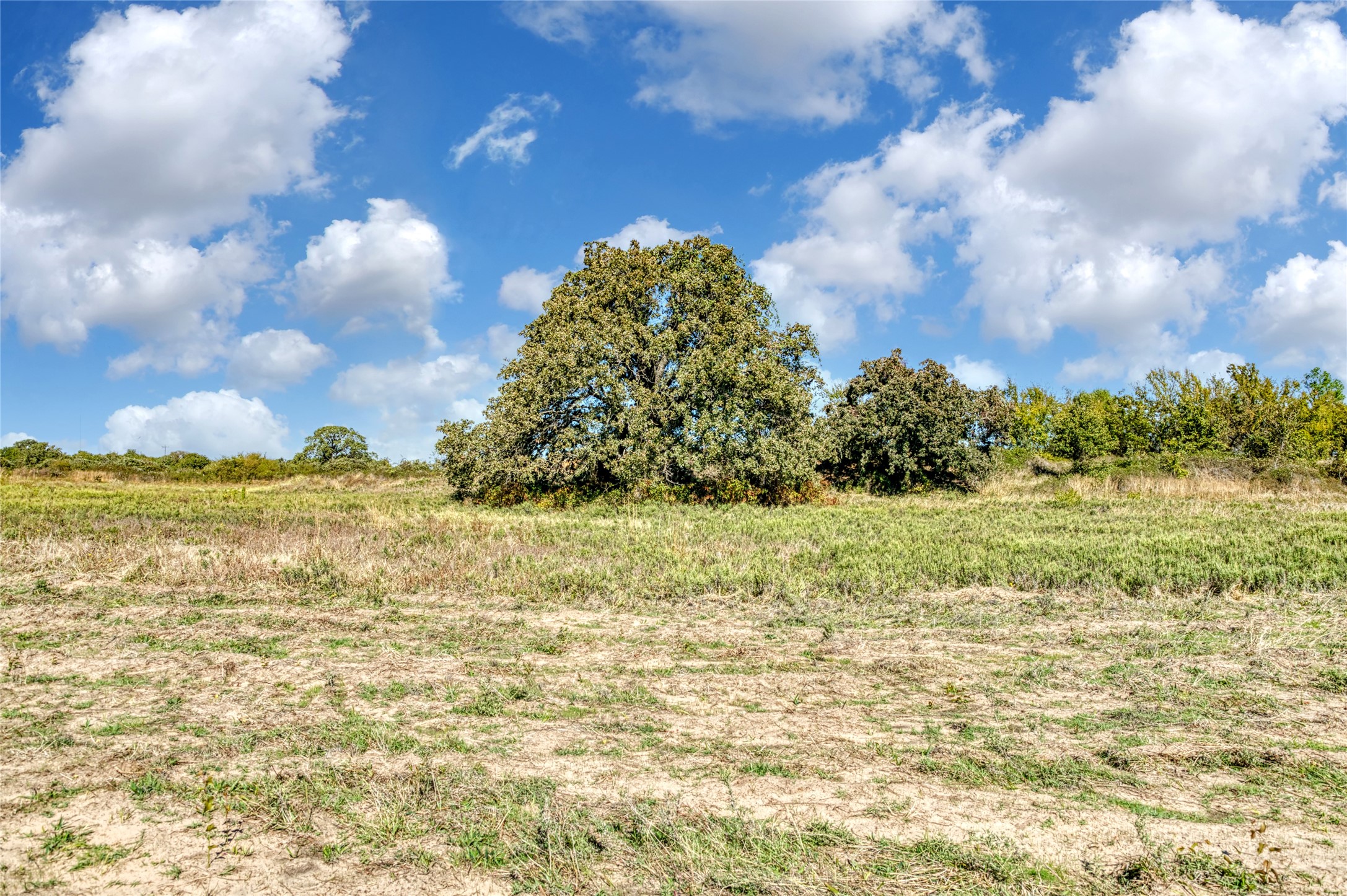 Tbd Coyote Meadow Lane Perrin TX 76486