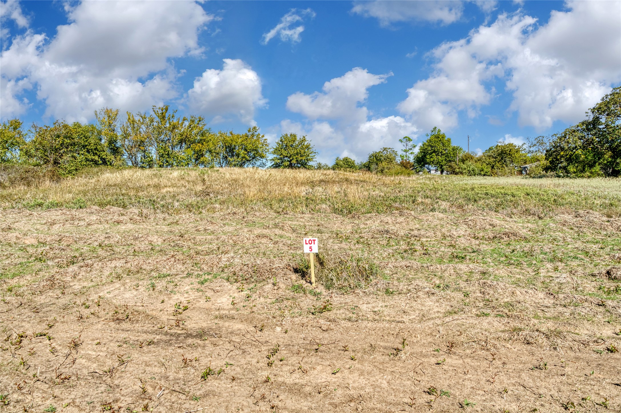 Tbd Coyote Meadow Lane Perrin TX 76486