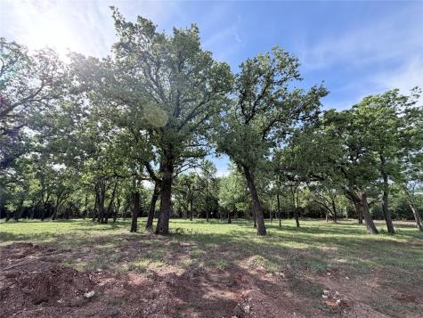 Lot 11 Lakewood Drive Whitney TX 76692