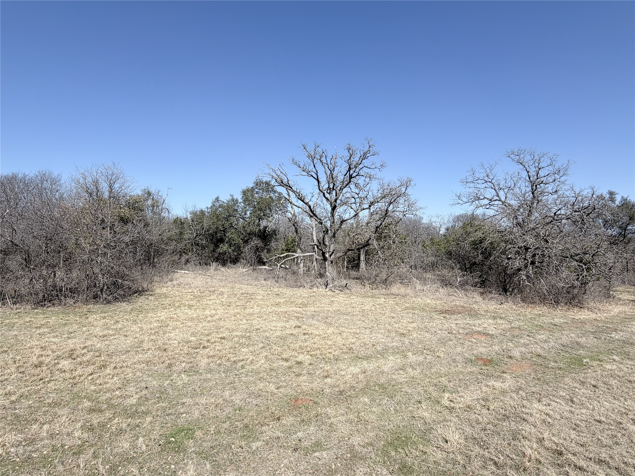 Lot 11 Lakewood Drive Whitney TX 76692