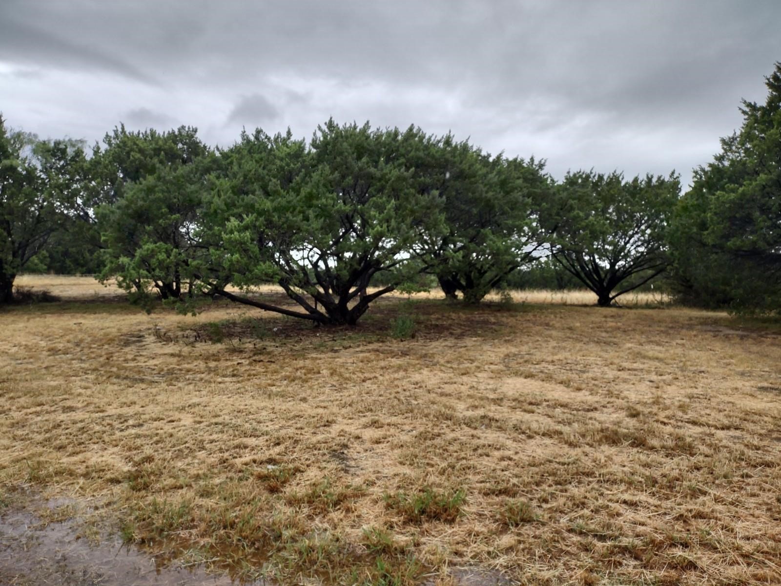 1007 W Apache Trail Granbury TX 76048