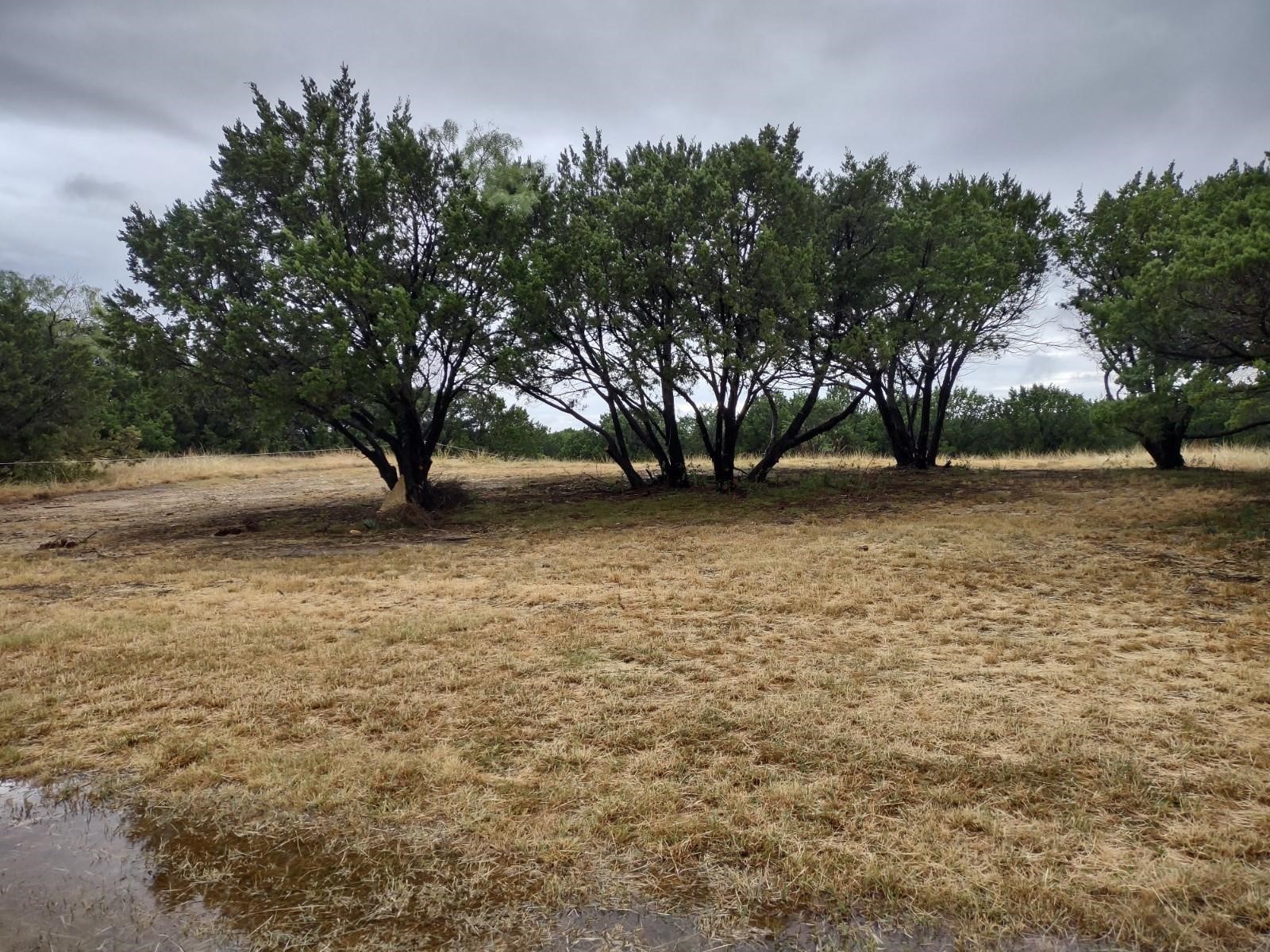 1007 W Apache Trail Granbury TX 76048