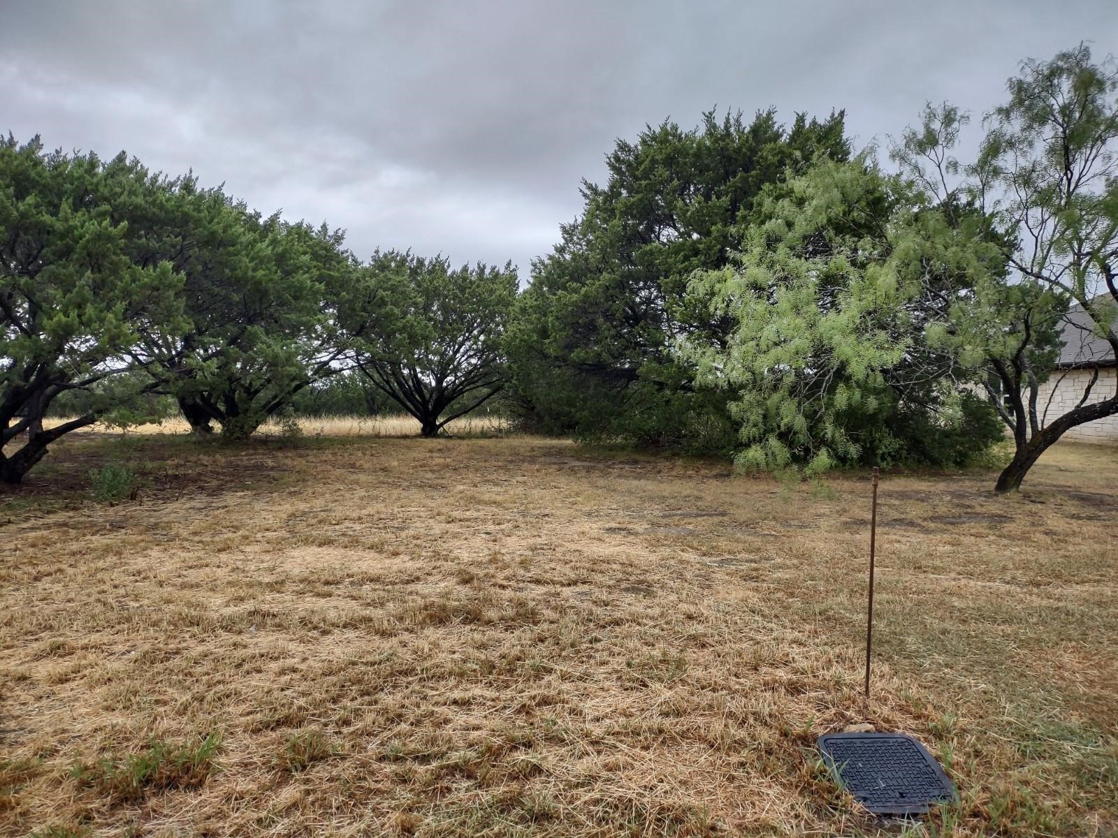 1007 W Apache Trail Granbury TX 76048