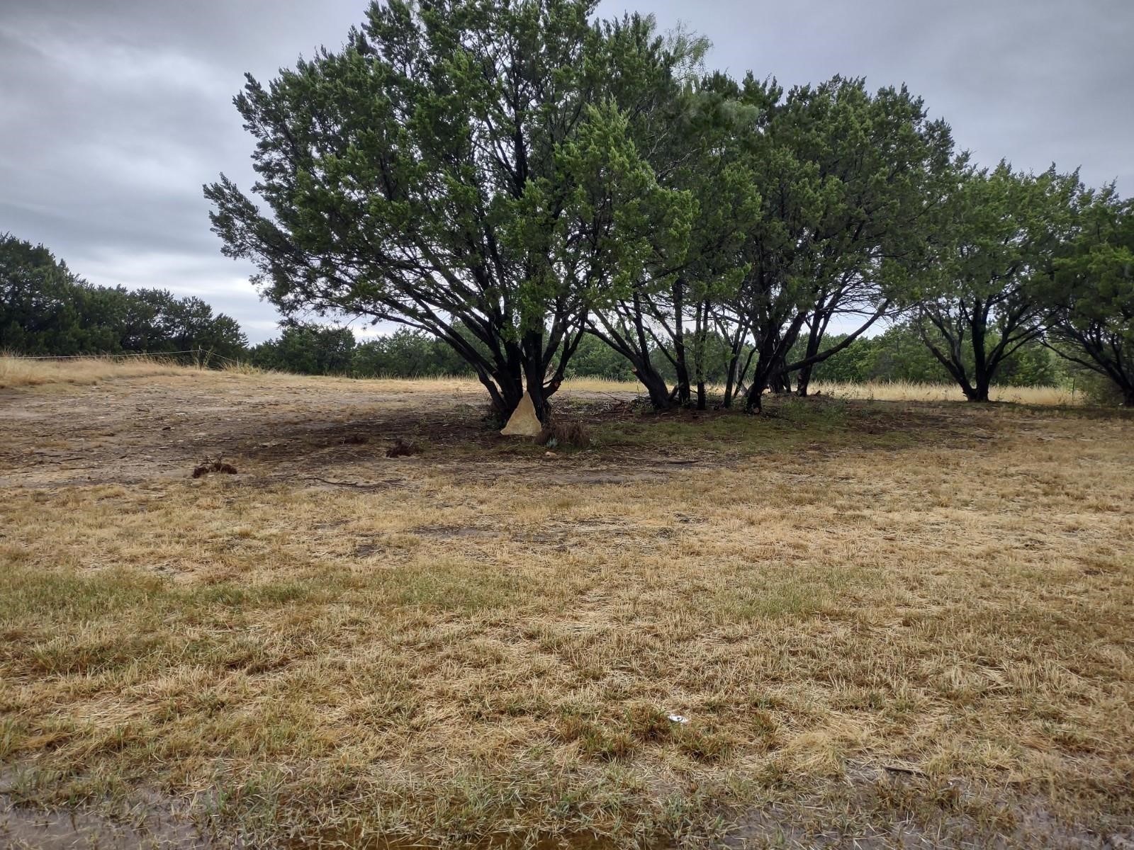 1007 W Apache Trail Granbury TX 76048