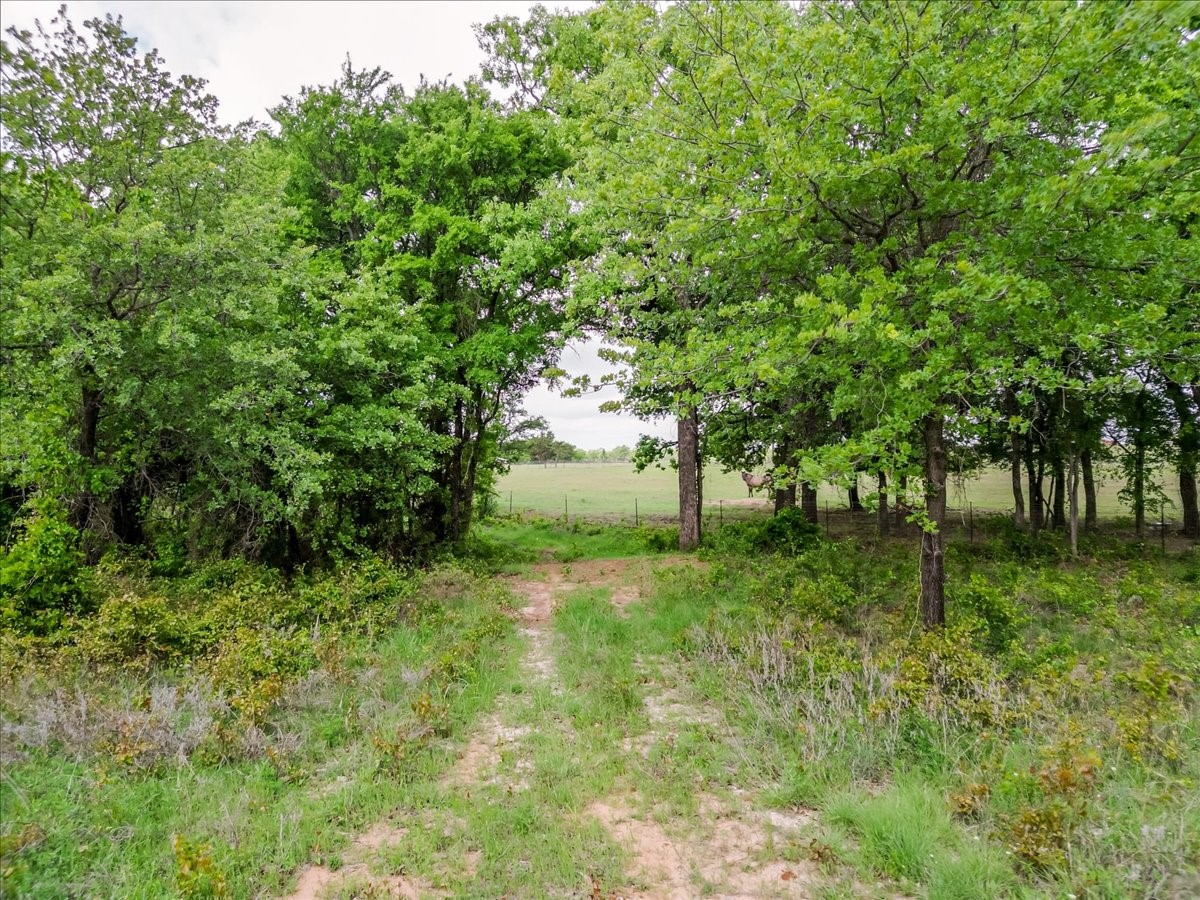 4313 Bethel Road Weatherford TX 76087