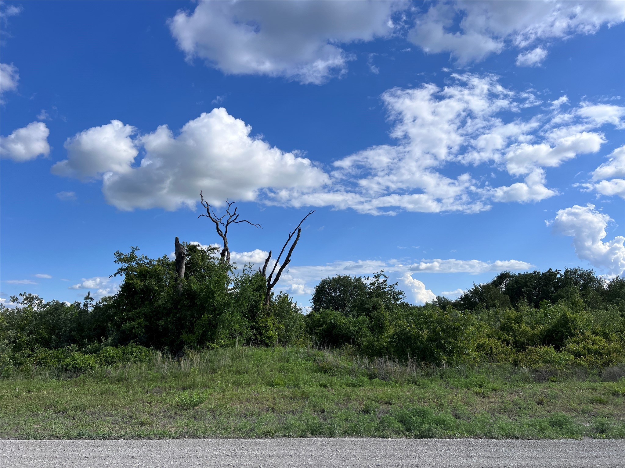 Tbd Lot 35 Live Oak Trail Clyde TX 79510