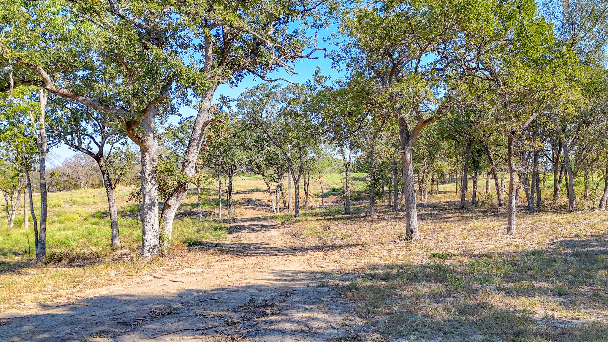 Lot 19 Bordeaux Lane Corsicana TX 75109