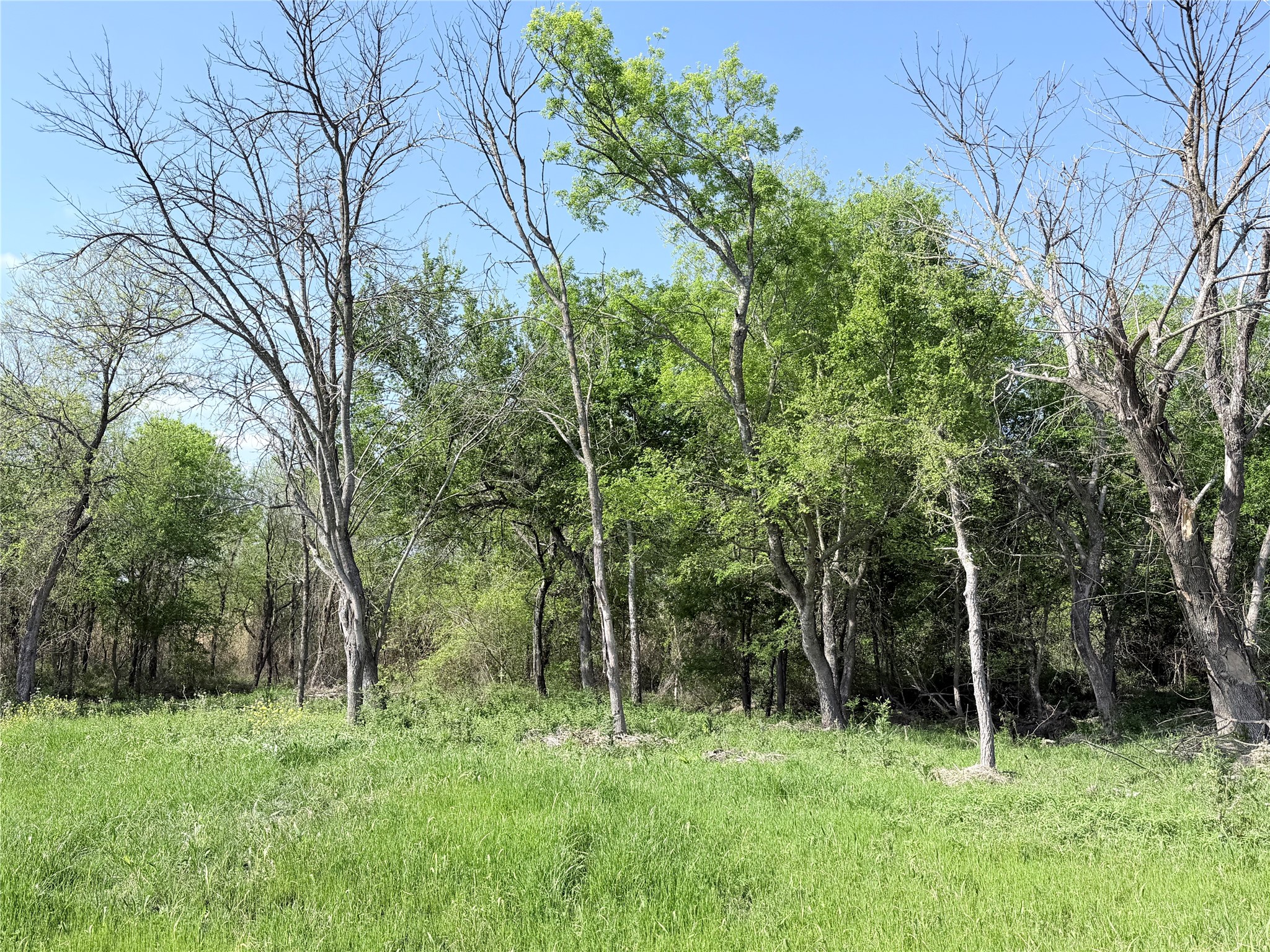 Tbd County Road 3204 Abbott TX 76621