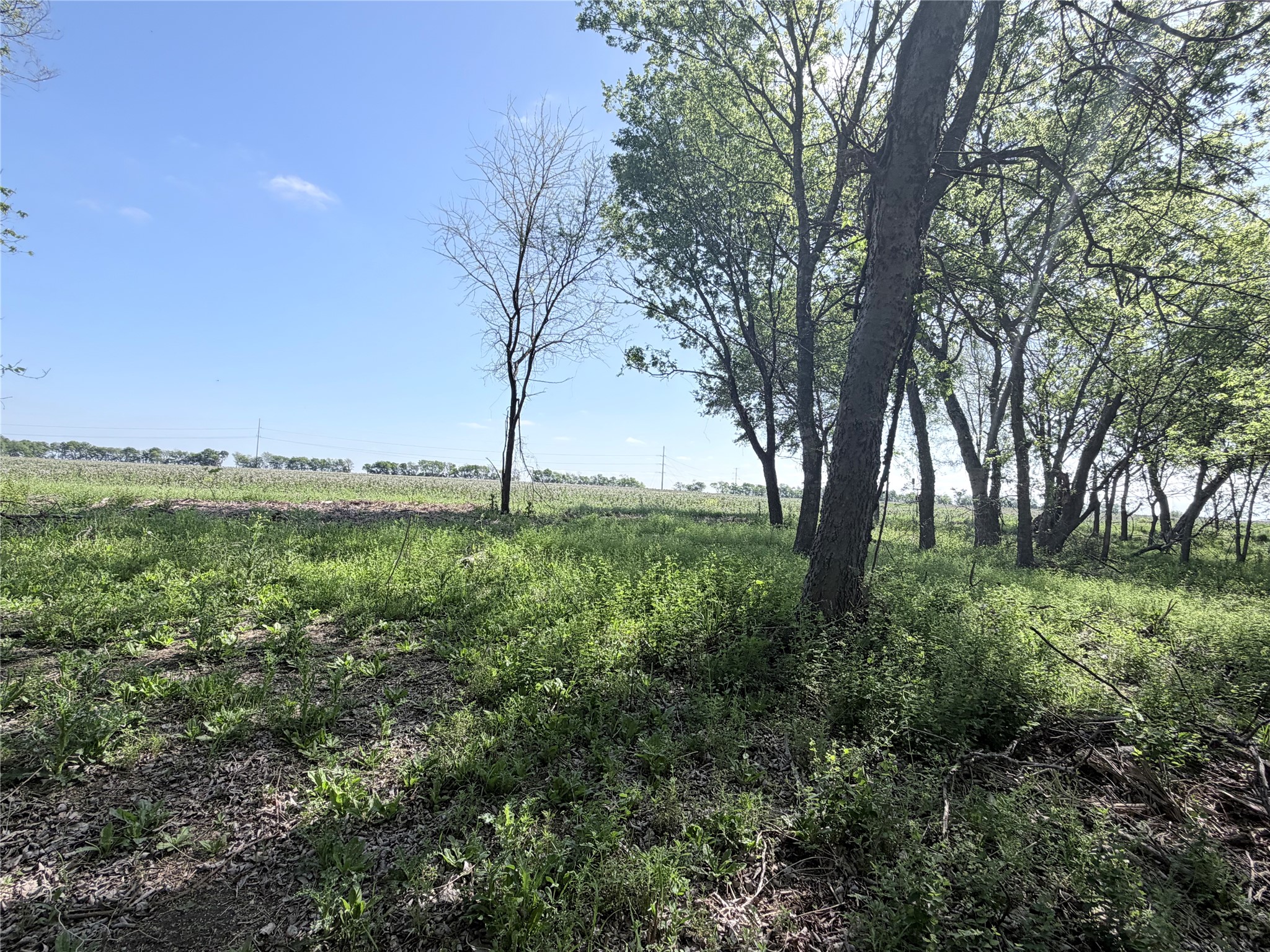 Tbd County Road 3204 Abbott TX 76621