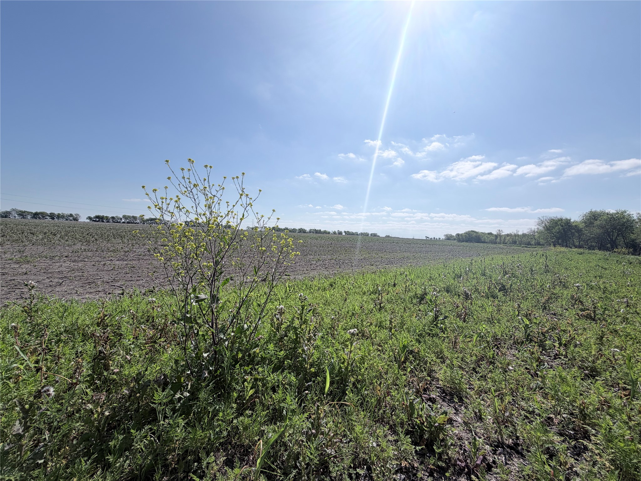 Tbd County Road 3204 Abbott TX 76621