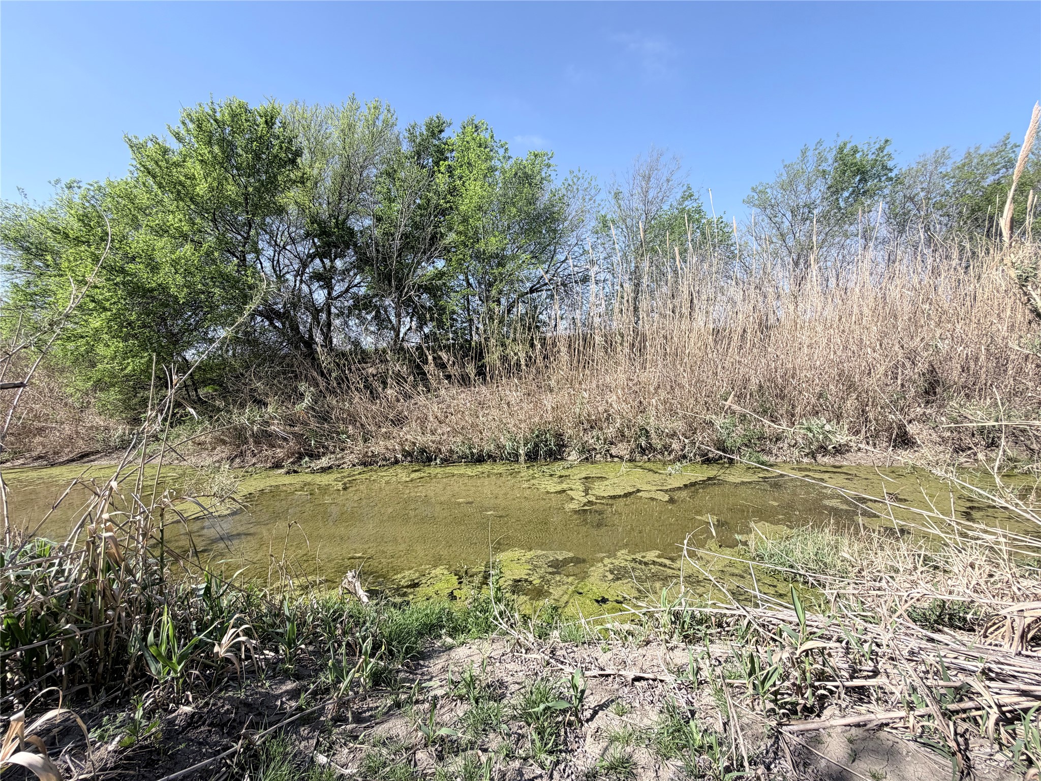 Tbd County Road 3204 Abbott TX 76621