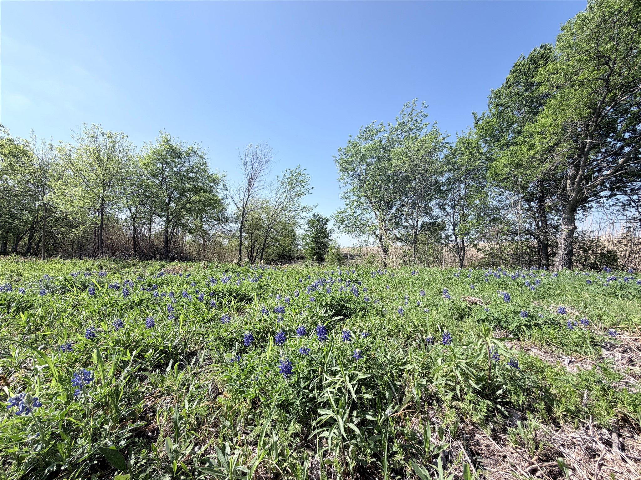 Tbd County Road 3204 Abbott TX 76621