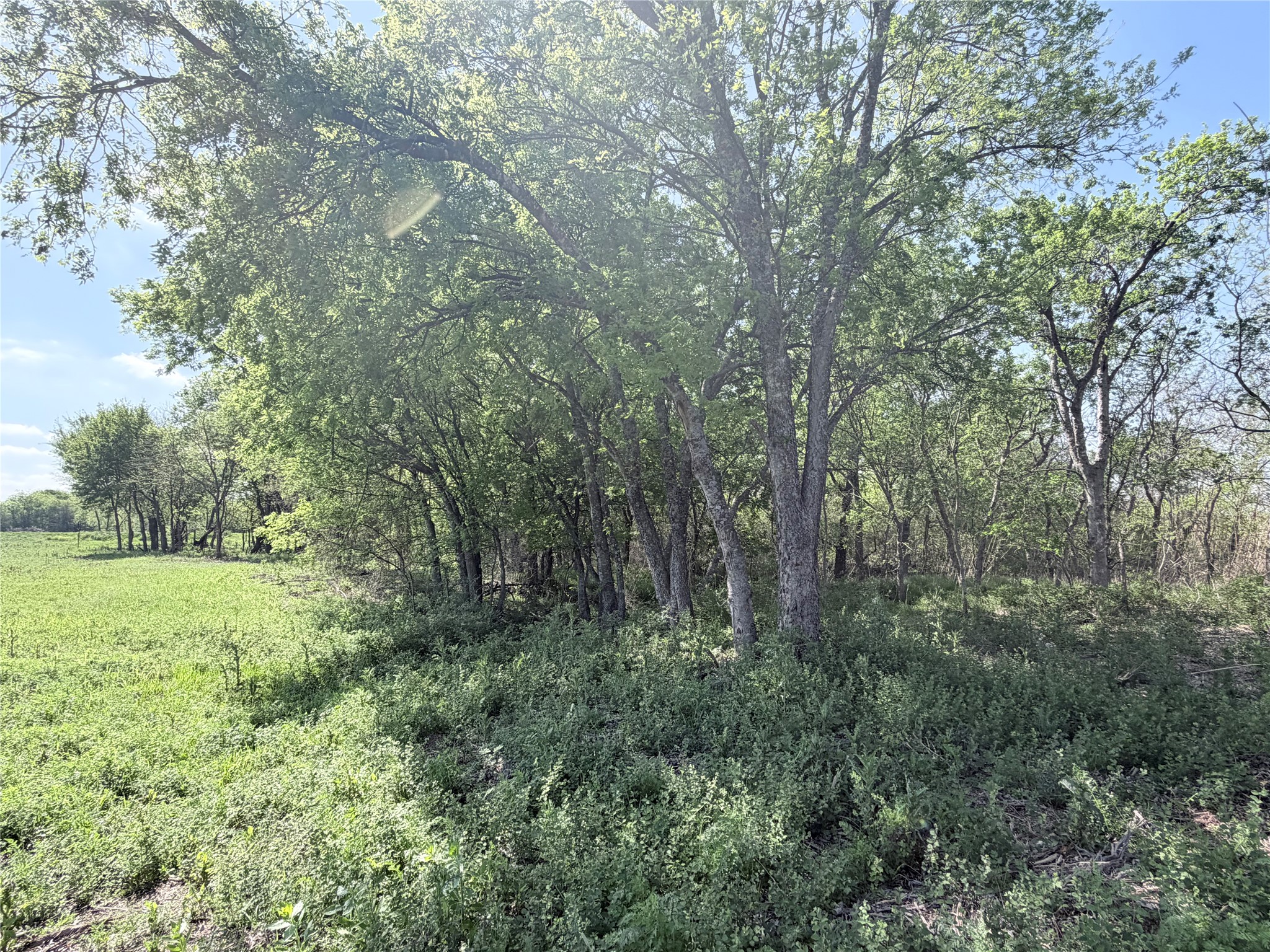 Tbd County Road 3204 Abbott TX 76621