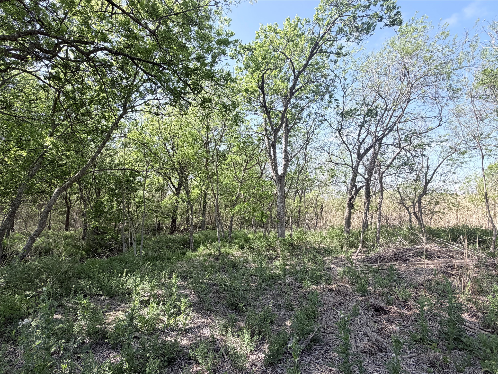 Tbd County Road 3204 Abbott TX 76621