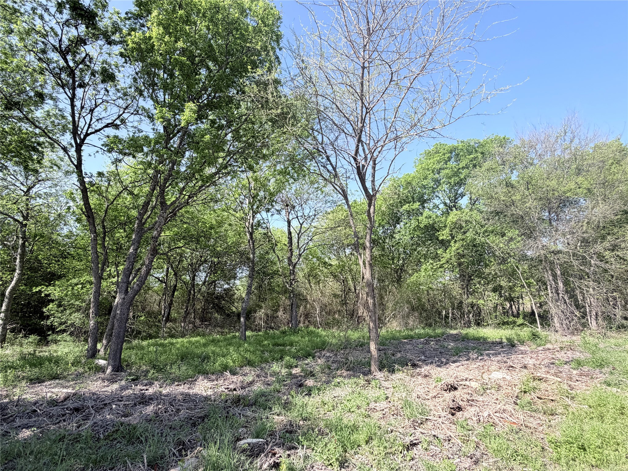 Tbd County Road 3204 Abbott TX 76621