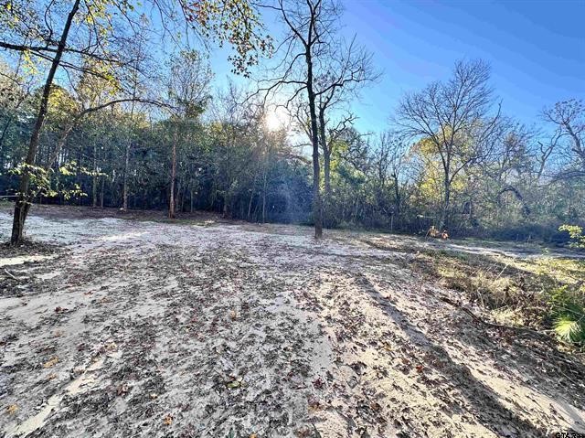 0 Cr 4302 Larue TX 75770