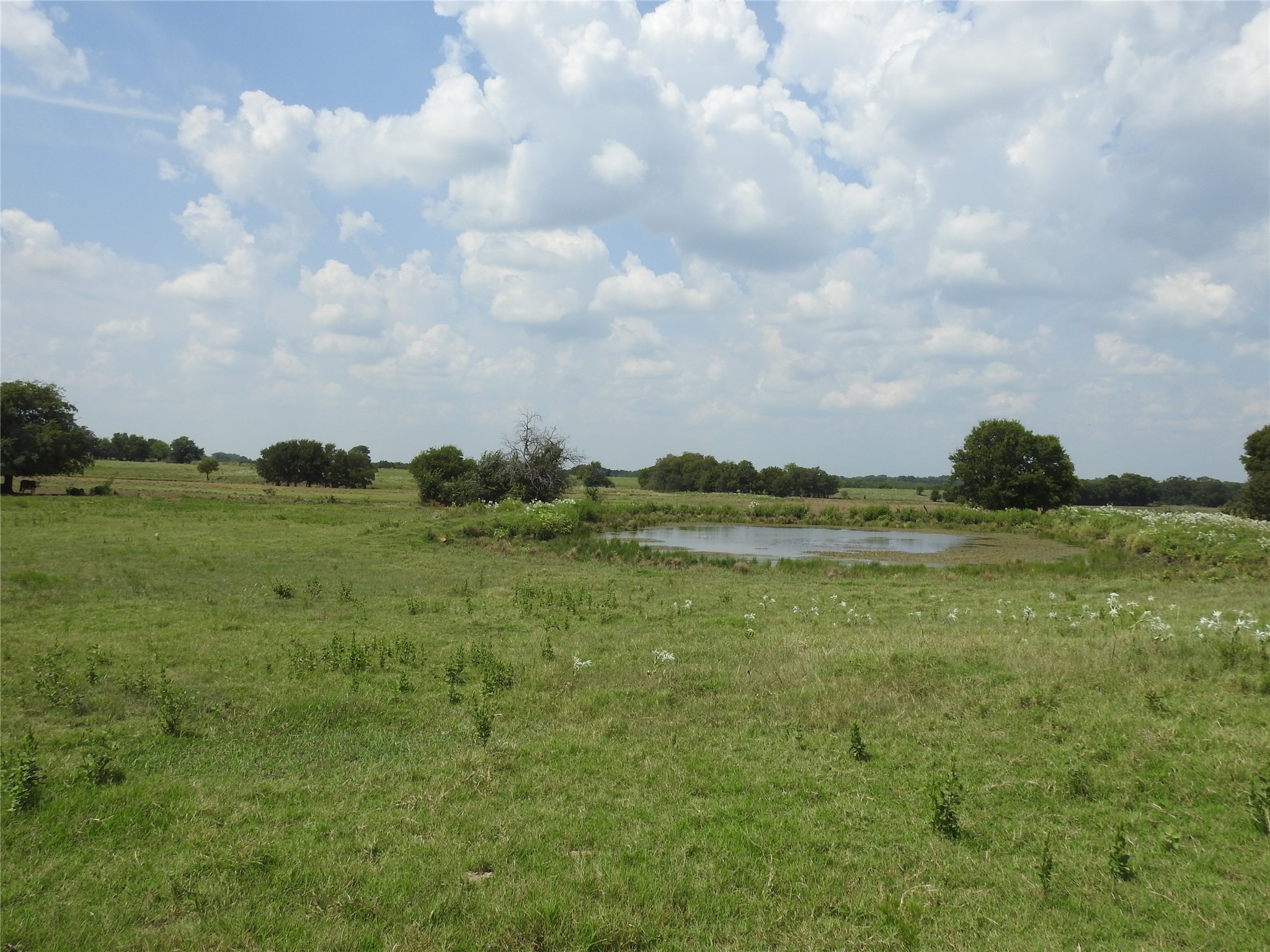 Tbd County Road 4040 Ector TX 75439