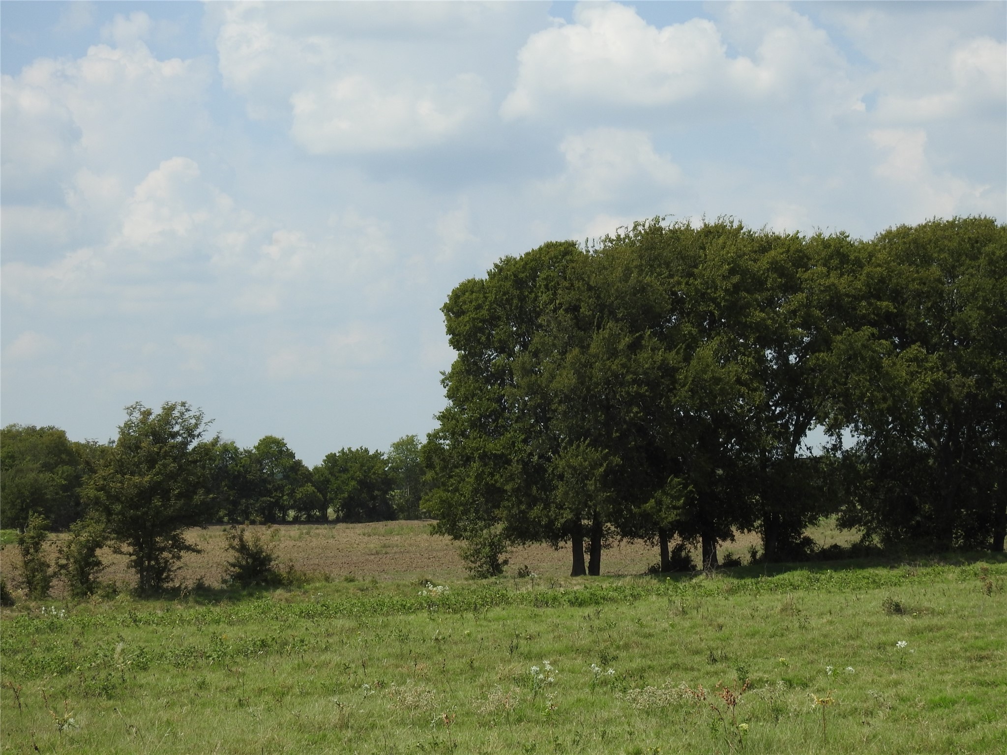 Tbd County Road 4040 Ector TX 75439
