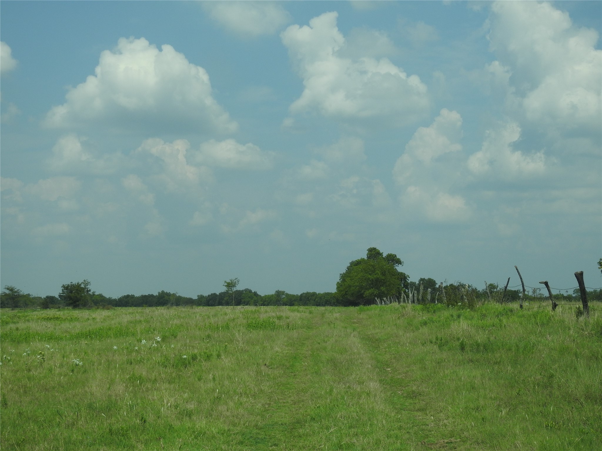 Tbd County Road 4040 Ector TX 75439