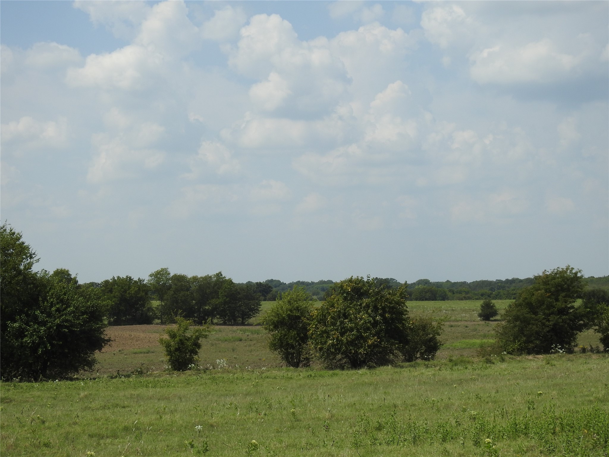 Tbd County Road 4040 Ector TX 75439