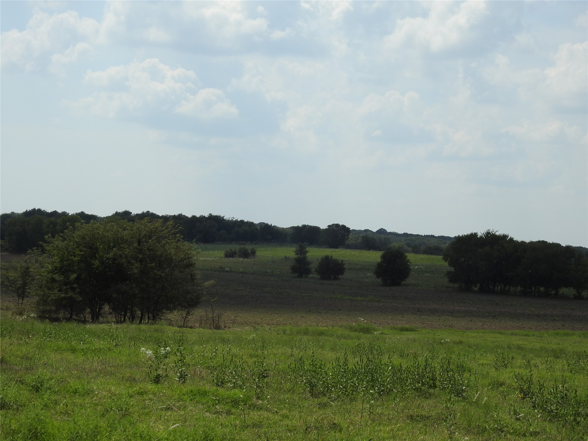 Tbd County Road 4040 Ector TX 75439