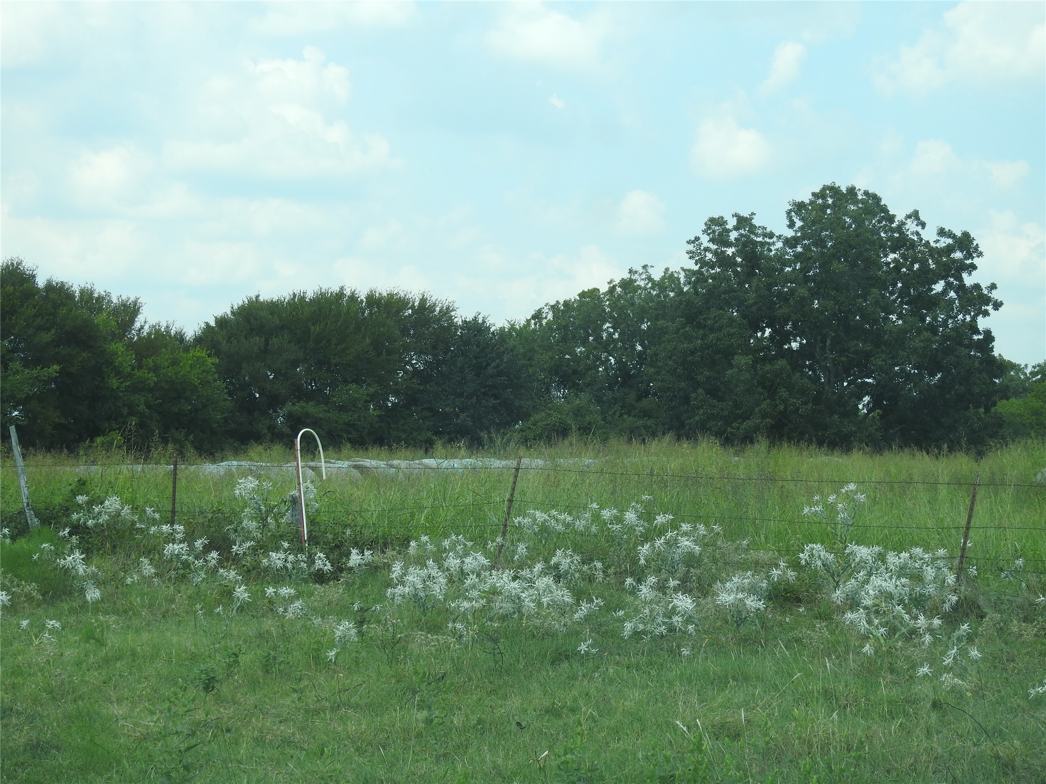 Tbd County Road 4040 Ector TX 75439